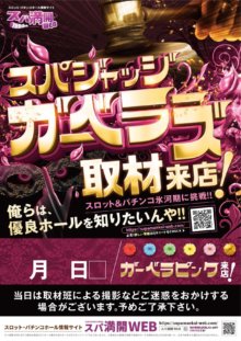 supajudge_gerbera_pink_a1pos